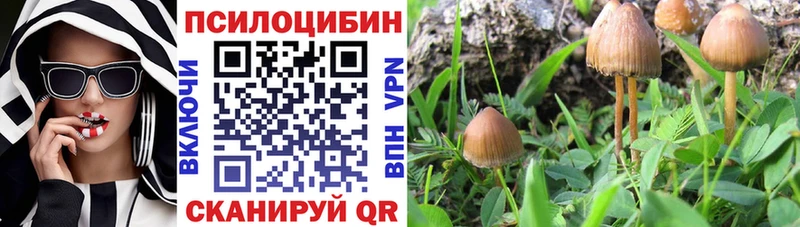 Псилоцибиновые грибы мицелий  Еманжелинск 