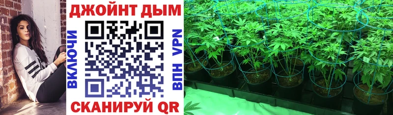 ОМГ ОМГ как войти Еманжелинск Марихуана индика